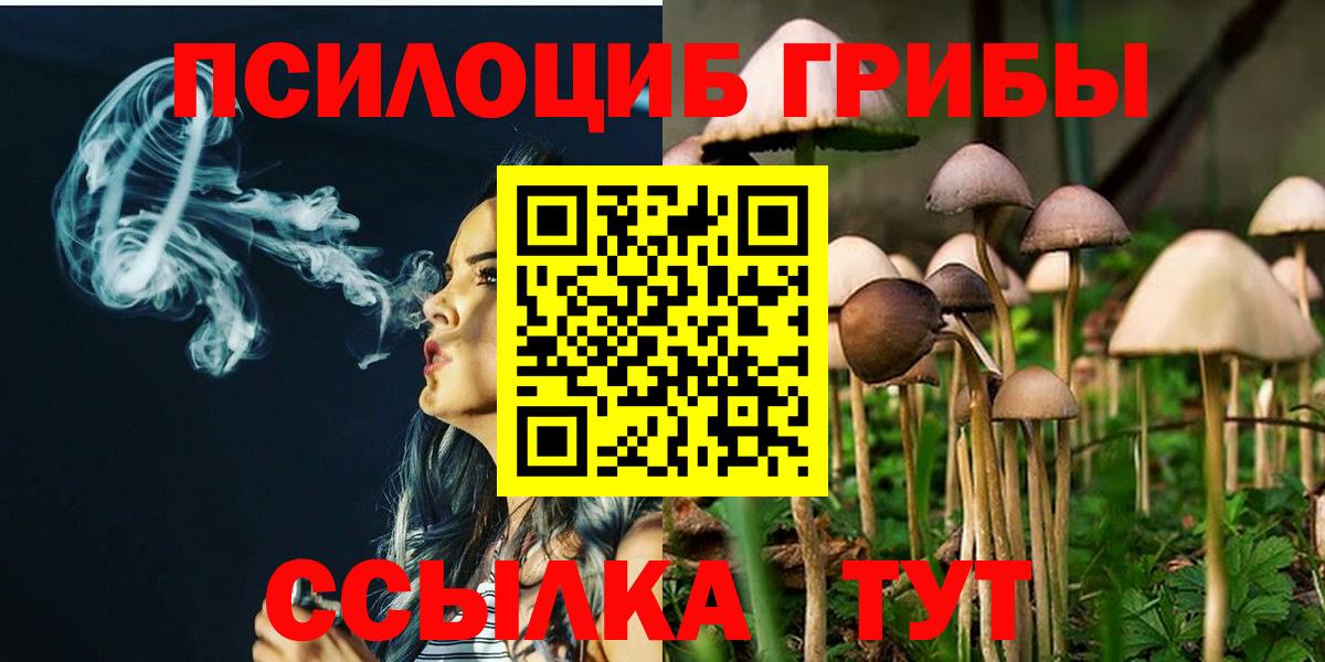 Торжок  Галлюциногенные грибы мицелий  Вход с VPN 