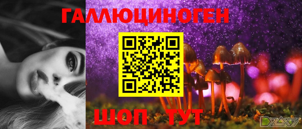 Псилоцибиновые грибы Psilocybe Торжок
